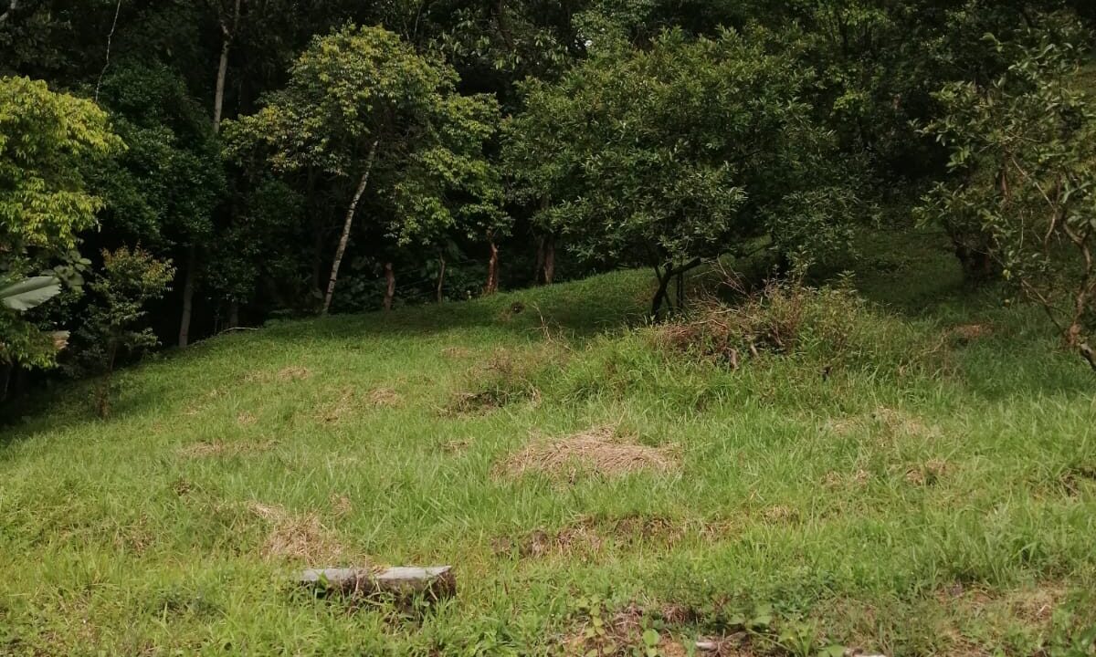 WhatsApp Image 2024-10-23 at 1.47.24 PM (2)