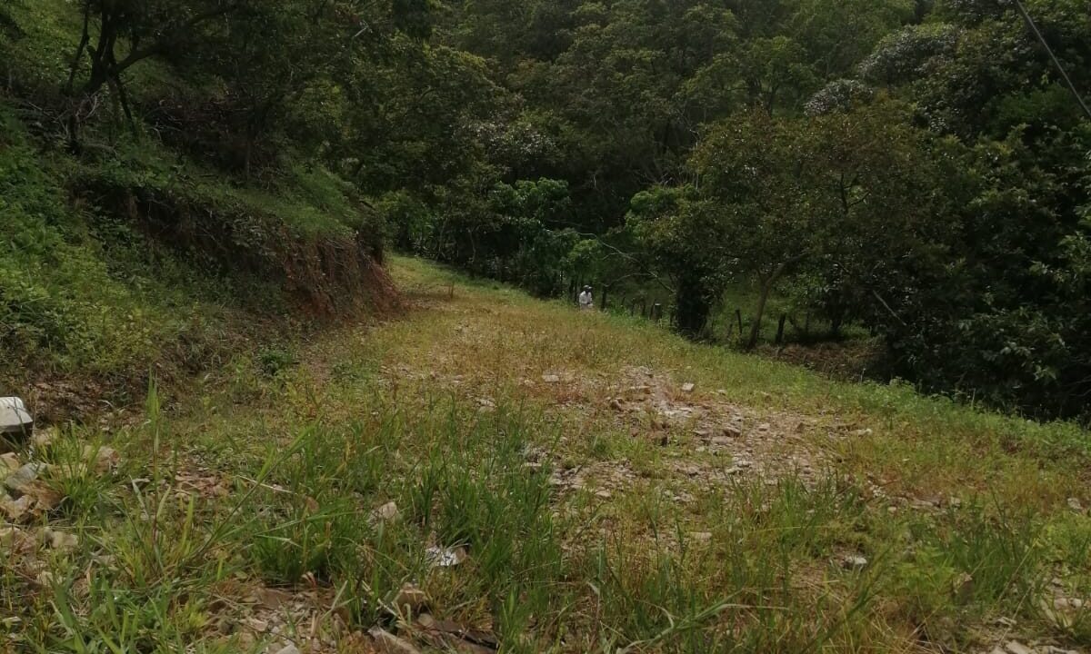WhatsApp Image 2024-10-23 at 1.47.25 PM (3)